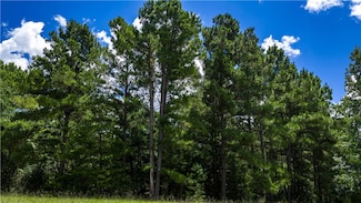 5688 Hamilton Hill Ln, Midway, TX 75852