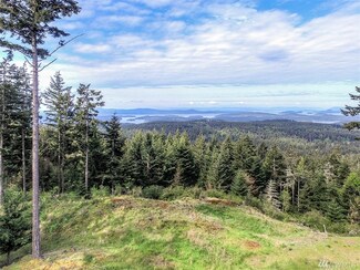 1 Rustic Homestead Ln, Eastsound, WA 98245