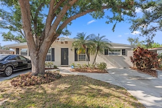 4339 Wallace Cir, Tampa, FL 33611