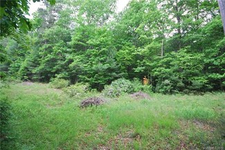 99 Cascade Lake Rd, Cedar Mountain, NC 28718