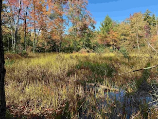 0 Green Mountain Rd Unit 30, Effingham, NH 03882