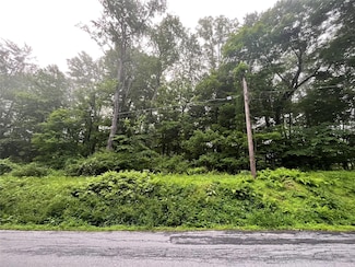 0 Pine Hill Rd, Pleasant Valley, NY 12569