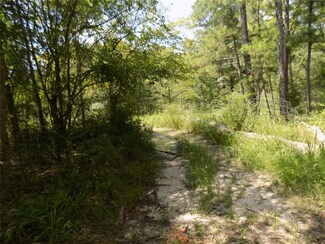 2521 Winding Creek Dr, Trinity, TX 75862