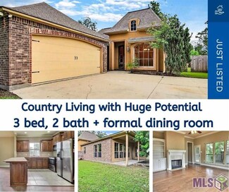 20344 Tuscany Ct, Livingston, LA 70754