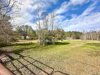 29208 S Satsuma Rd, Livingston, LA 70754