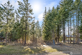 5 Kokanee Loop, Cle Elum, WA 98922