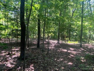 00 Talmon St, Connelly Springs, NC 28612