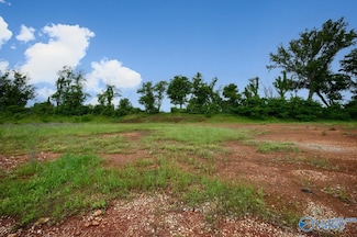 164 Knockash Hill, Madison, AL 35756
