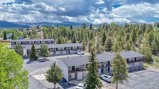 921 Mount Massive Dr Unit 16, Leadville, CO 80461