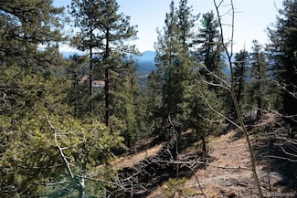 11722 Braun Way, Conifer, CO 80433