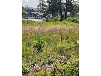 1508 1509 NE East Devils Lk Rd, Lincolncity, OR 97367