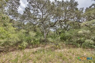 Tract 12 Prairie St, Edna, TX 77957
