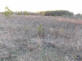 0 Flamingo Estates Unit 230146, Hawkinsville, GA 31036