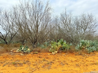 TBD Old Highway 81, Moore, TX 78057