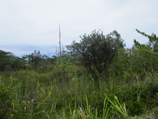 0 4th Ave Unit 721507, Hawaiian Paradise Park, HI 96749