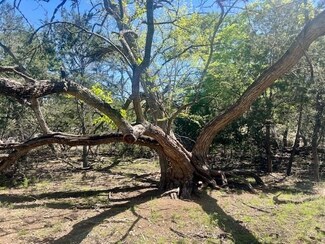 290 Estrella Cove, Blanco, TX 78606