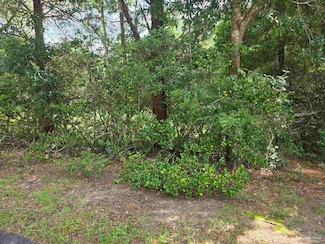 0 Crystal Creek Dr, Pace, FL 32571
