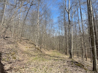 000 Hungry Creek Rd Unit Lot WP001, Culloden, WV 25510