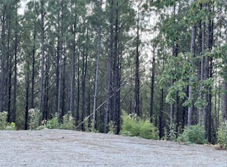 149 Highland Dr, Linden, TN 37096