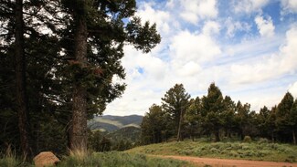 0 High Ore (Montana Lode) Rd Unit 21916236, Boulder, MT 59632