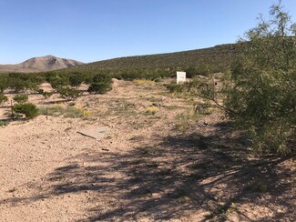 15598 Salt Bush Rd, Clint, TX 79938