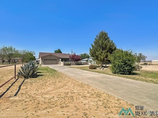 808 E Chapman Rd, Carlsbad, NM 88220