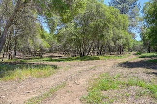 10650 Werner Rd, Auburn, CA 95603
