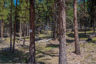 1050 Grandview Dr, Seeley Lake, MT 59868