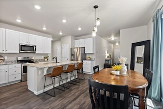 5297 Blue Lunar Ln, Castle Rock, CO 80104