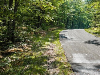 Lot 3 Lake Yawkey Dr, Hazelhurst, WI 54531