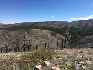 3600 Moondance Way, Bellvue, CO 80512