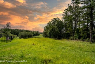 5409 Grand Summit Dr, Brooksville, FL 34601