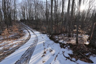 10 Timber Ridge, Echo Township, MI 49727