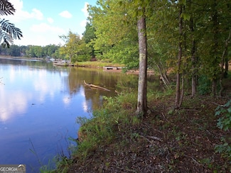 LOTS 48,49,50 Doe Ln, Mansfield, GA 30055