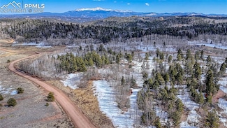 654 Aspen Way Dr, Florissant, CO 80816