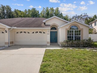 8640 Hawbuck St, Trinity, FL 34655