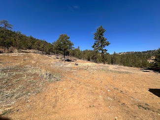 0 Big Pine Ridge Unit 25-361, Weston, CO