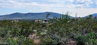 TBD N Rosa Ct Unit 602, Tombstone, AZ 85638