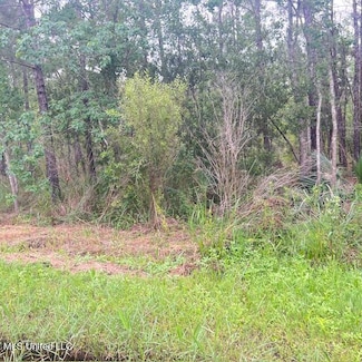 No Ohio St, Shoreline Park, MS 39520