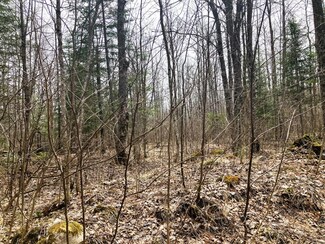 17808 Griffith Rd, Butternut, WI 54514