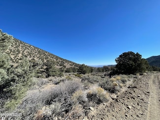 tbd Lucky Boy Pass Rd, Walker Lake, NV 89415