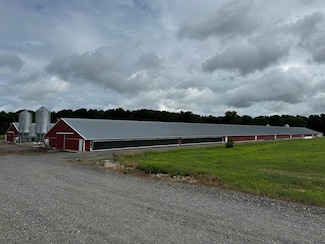 4689 Woodpecker Rd, Seaford, DE 19973