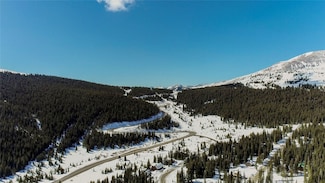 434 Carroll Ln, Breckenridge, CO 80424