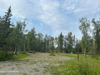 44570 Lumberjack Ln, Ridgeway, AK 99669