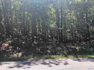 5631 River Oak Dr, Southside, AL 35907