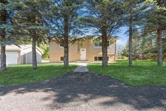 22277 Quincy St NE, Cedar, MN 55011