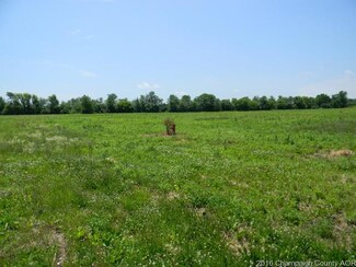 0 N East Third Unit 9455539, Deland, IL 61839