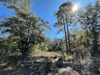 TBD NE 86th St, East Bronson, FL 32621