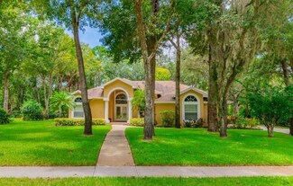 5831 Audubon Manor Blvd, Lithia, FL 33547