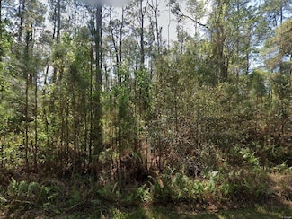 412 Dogwood Ave, Georgetown Cove, FL 32139